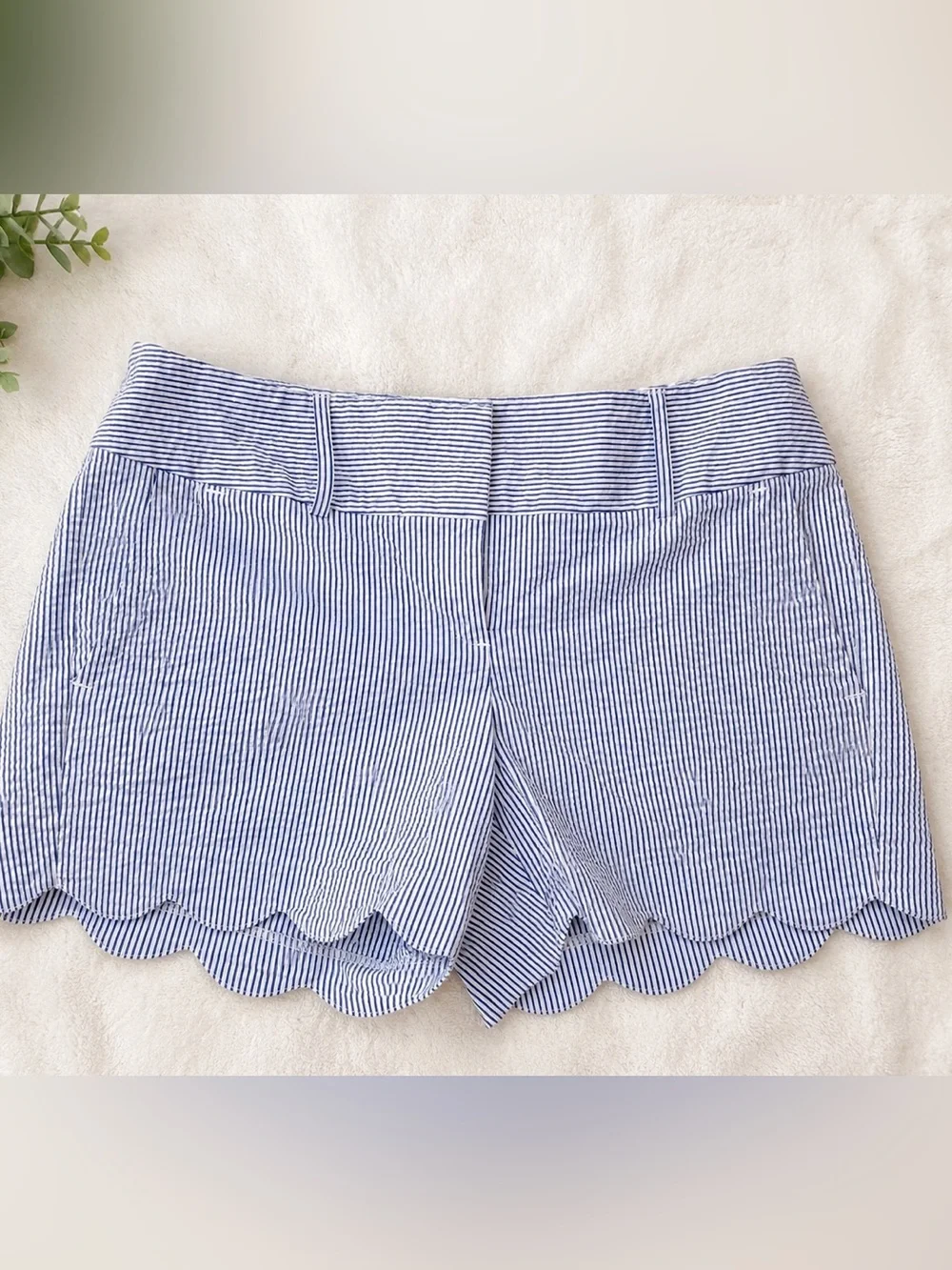 Ann Taylor Blue & White Pinstripe Shorts